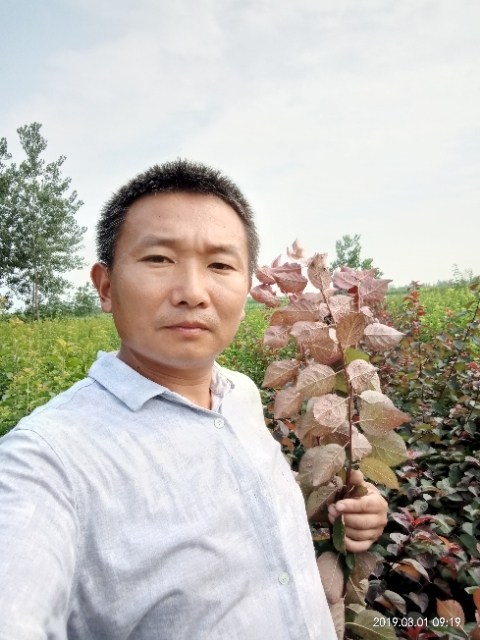 孩子爸的第一张照片--长乐交友网