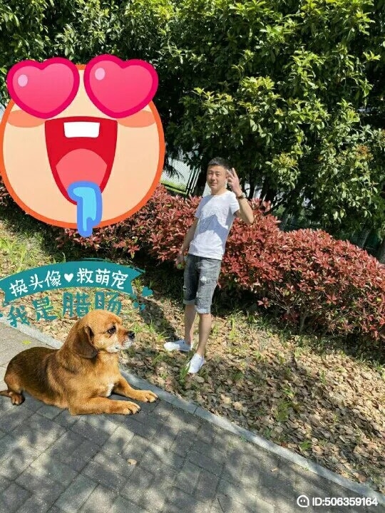 我若不坚强谁替我勇敢的第五张照片--长乐交友网