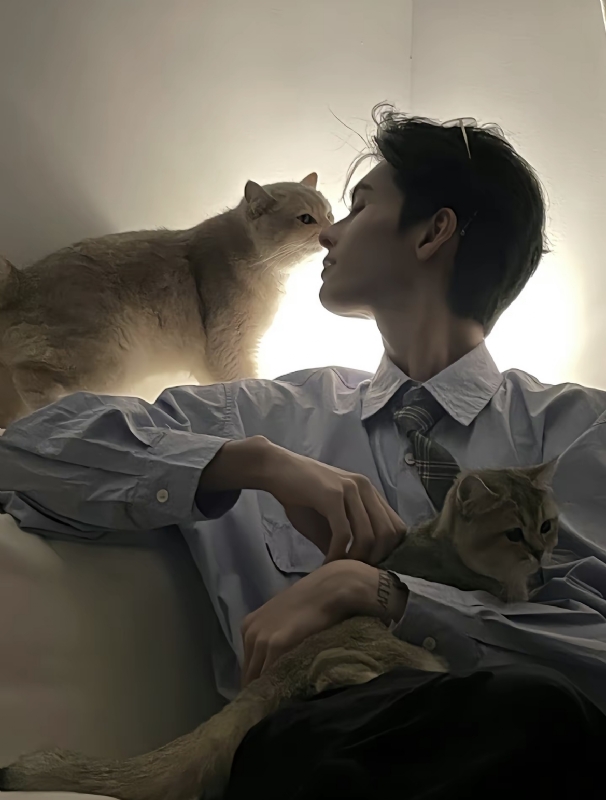 怪猫的第一张照片--长乐交友网